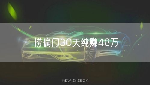 捞偏门30天纯赚48万