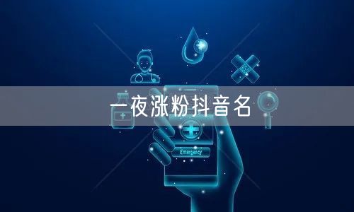 一夜涨粉抖音名