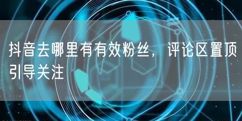 抖音去哪里有有效粉丝，评论区置顶引导关注