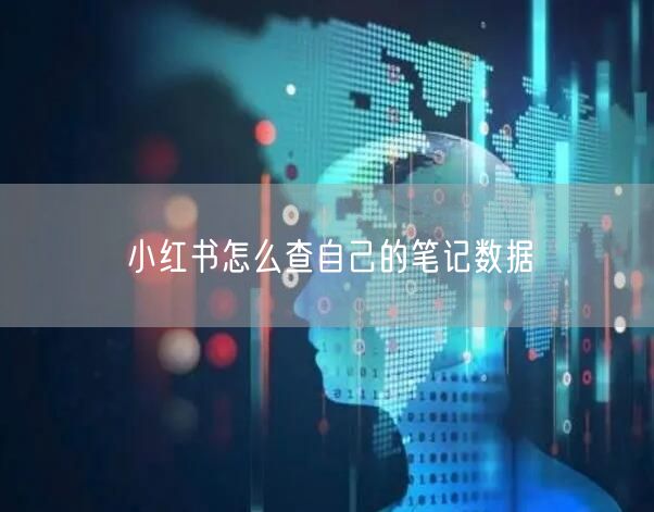 小红书怎么查自己的笔记数据