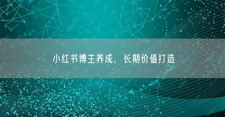 小红书博主养成，长期价值打造