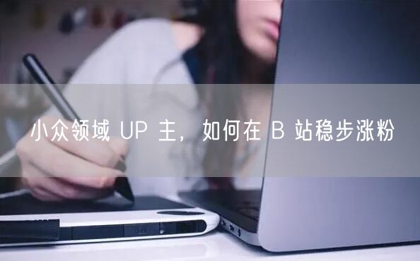 小众领域 UP 主，如何在 B 站稳步涨粉