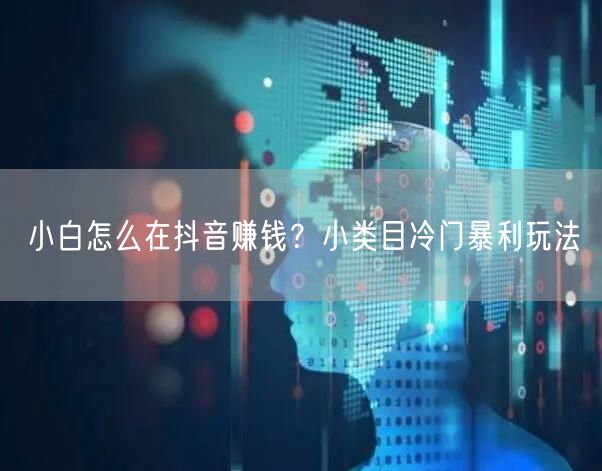 小白怎么在抖音赚钱？小类目冷门暴利玩法