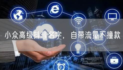小众高级抖音名字，自带流量不撞款