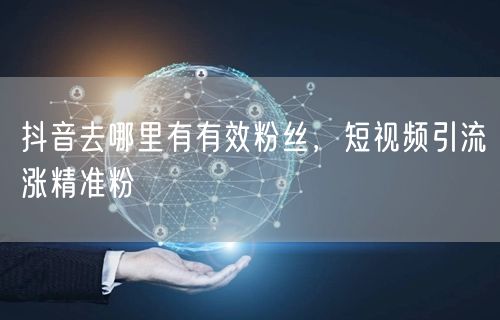抖音去哪里有有效粉丝，短视频引流涨精准粉