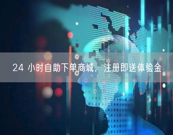 24 小时自助下单商城，注册即送体验金