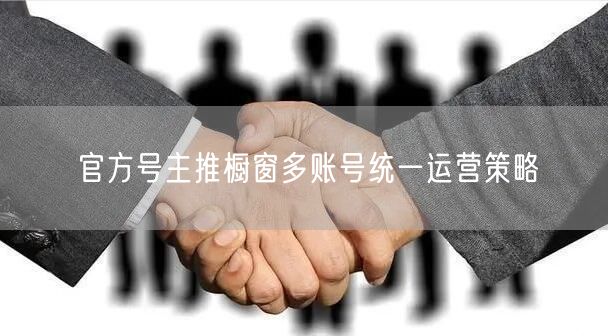官方号主推橱窗多账号统一运营策略