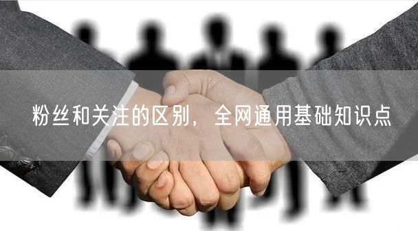 粉丝和关注的区别，全网通用基础知识点