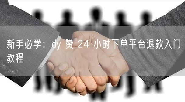 新手必学：dy 赞 24 小时下单平台退款入门教程