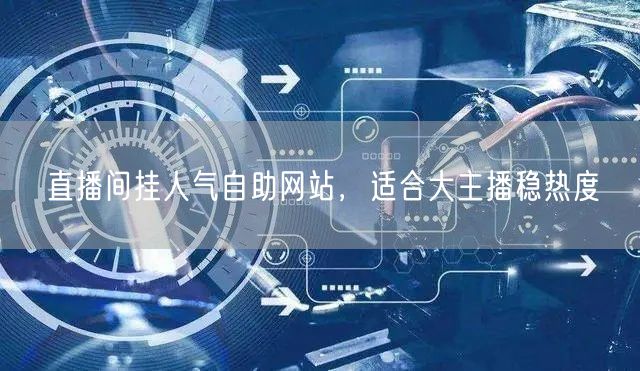 直播间挂人气自助网站，适合大主播稳热度